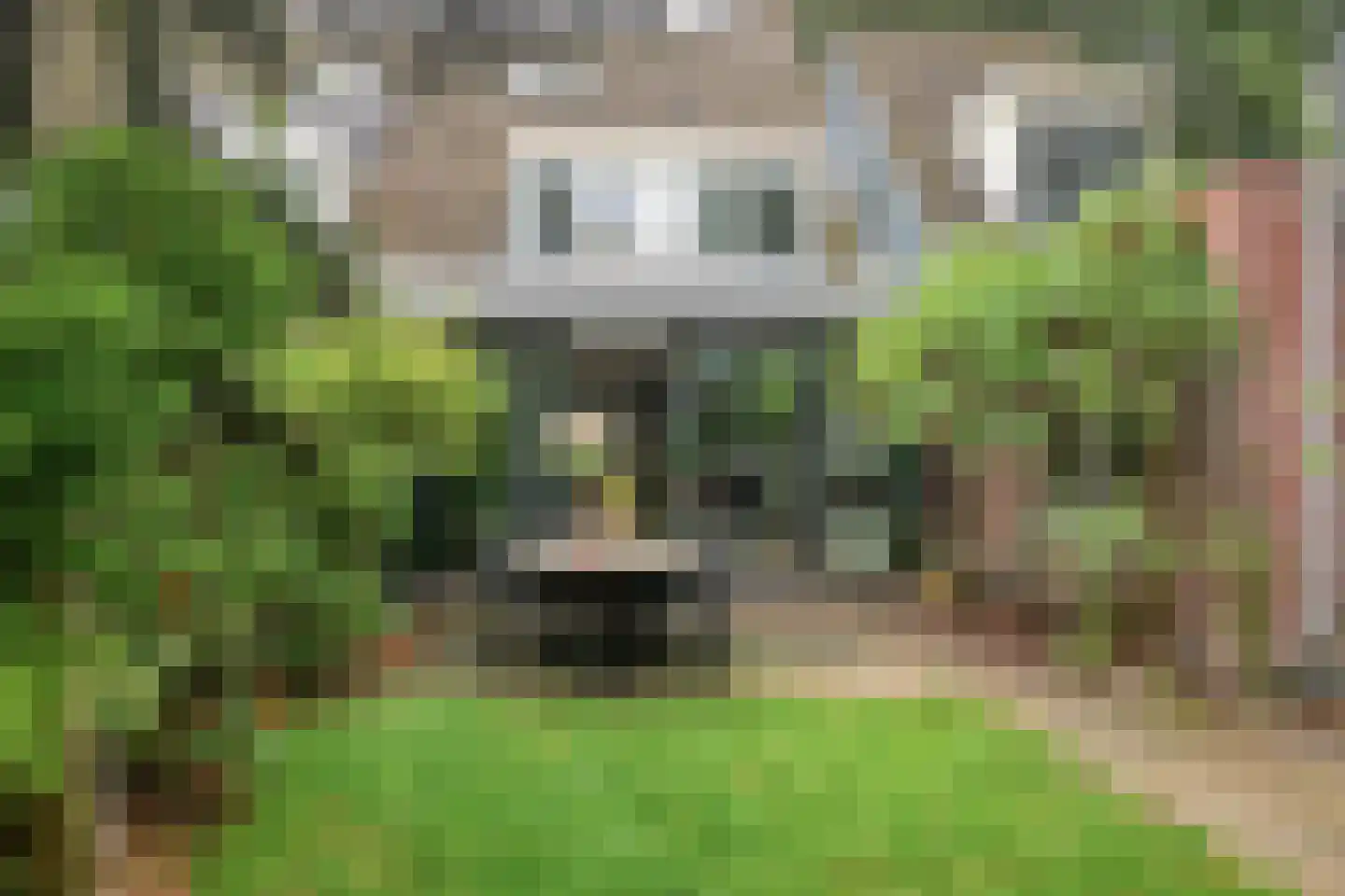 Hazenveld 31 IJsselstein thumbnail 5