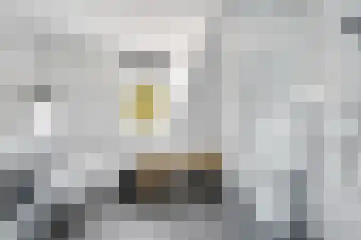 Hazenveld 33 IJsselstein thumbnail 20