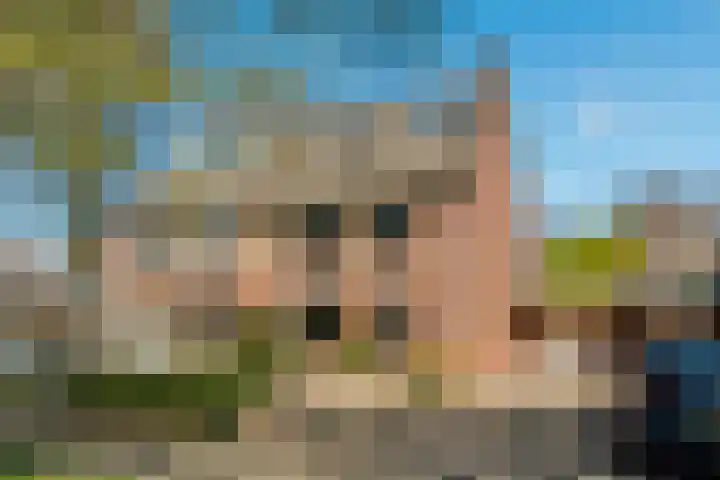 Hazenveld 33 IJsselstein thumbnail 44