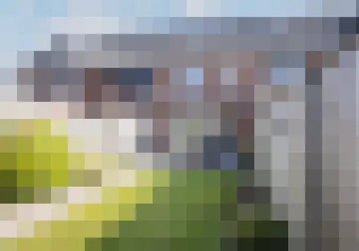 Hazenveld 8 Nistelrode thumbnail 30