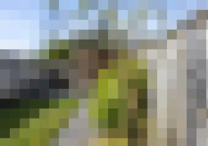 Hazenveld 8 Nistelrode thumbnail 32