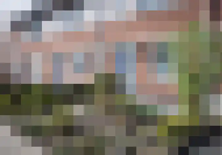 Hazenveld 8 Nistelrode thumbnail 6