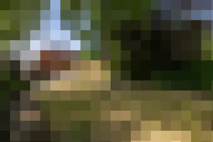 Hazenweg 8 Landsmeer thumbnail 10