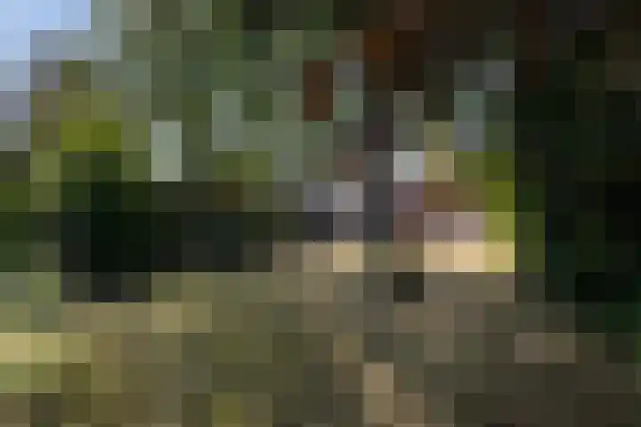 Hazenweg 8 Landsmeer thumbnail 11