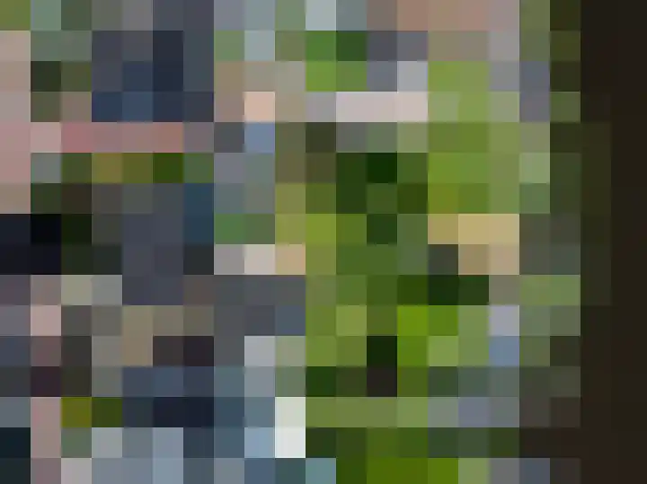 Hazenweg 8 Landsmeer thumbnail 12