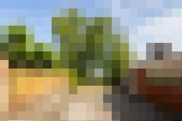 Hazenweg 8 Landsmeer thumbnail 13