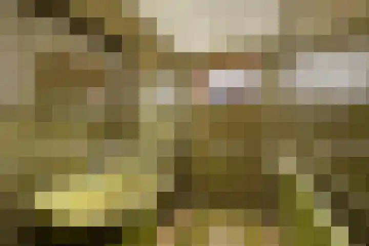 Hazenweg 8 Landsmeer thumbnail 19