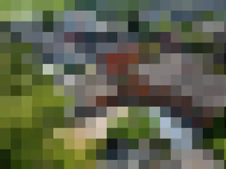 Hazenweg 8 Landsmeer thumbnail 22