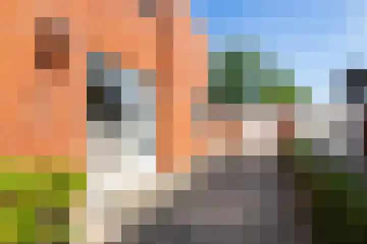 Hazenweg 8 Landsmeer thumbnail 24