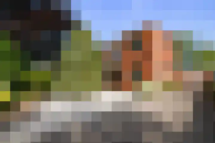 Hazenweg 8 Landsmeer thumbnail 4