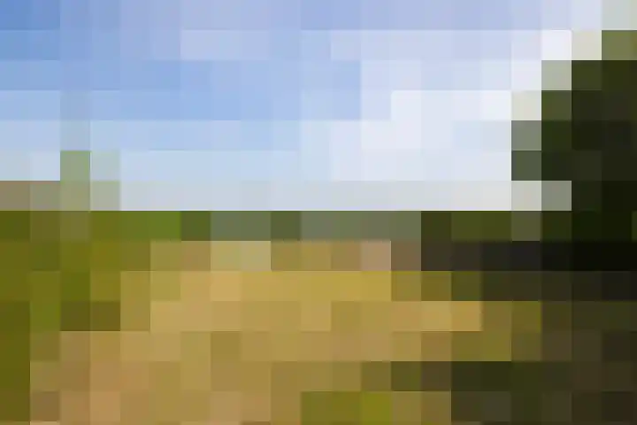 Hazenweg 8 Landsmeer thumbnail 8