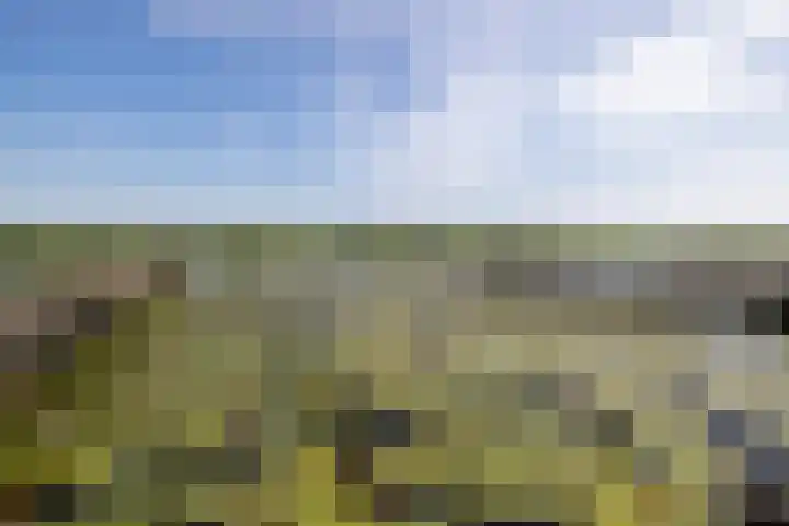 Hazenweg 8 Landsmeer thumbnail 9