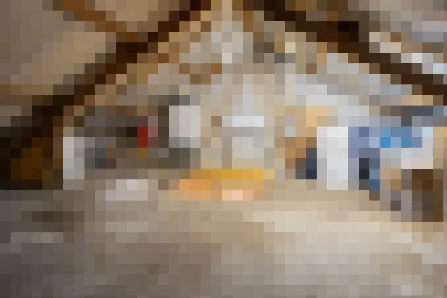 Hazepad 11 Nieuw-Amsterdam thumbnail 31