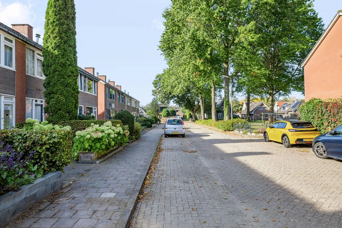 Hazepad 16 Nieuw-Amsterdam thumbnail 42