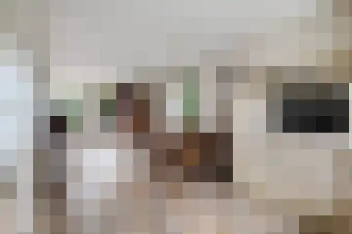 Hazepad 18 Soest thumbnail 14