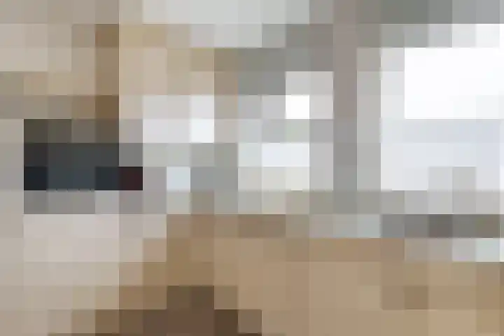 Hazepad 18 Soest thumbnail 19