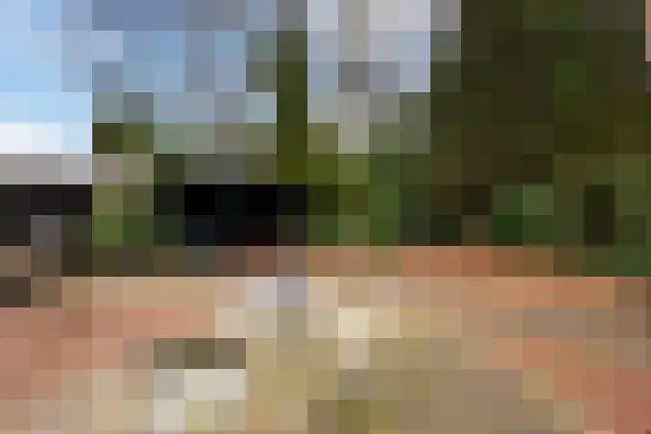 Hazepad 18 Soest thumbnail 21