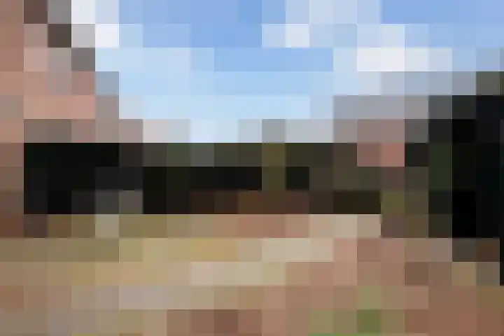 Hazepad 18 Soest thumbnail 22
