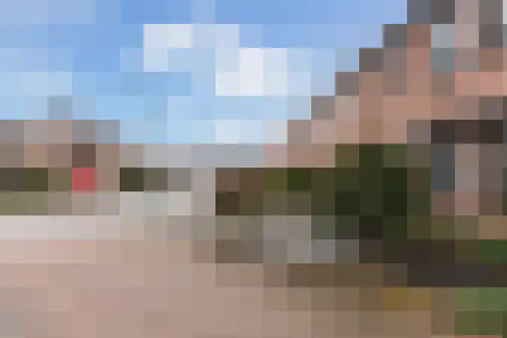 Hazepad 18 Soest thumbnail 4