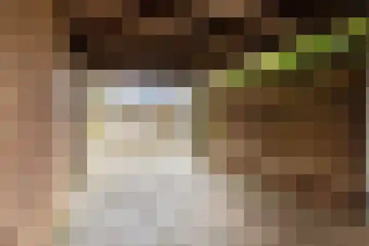 Hazepad 18 Soest thumbnail 44
