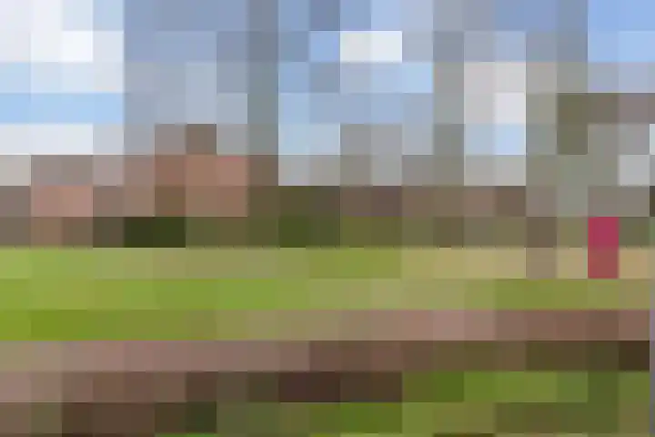 Hazepad 18 Soest thumbnail 47