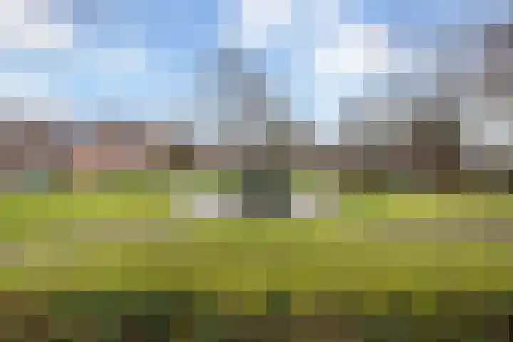 Hazepad 18 Soest thumbnail 48