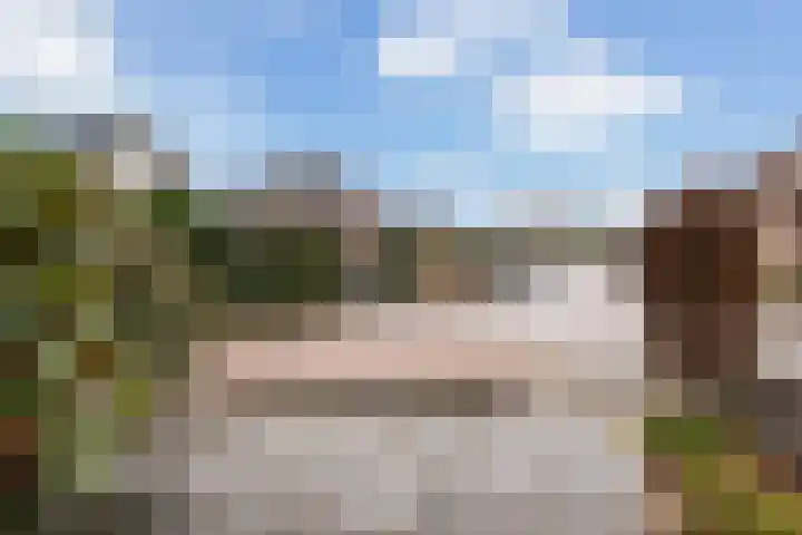 Hazepad 18 Soest thumbnail 6