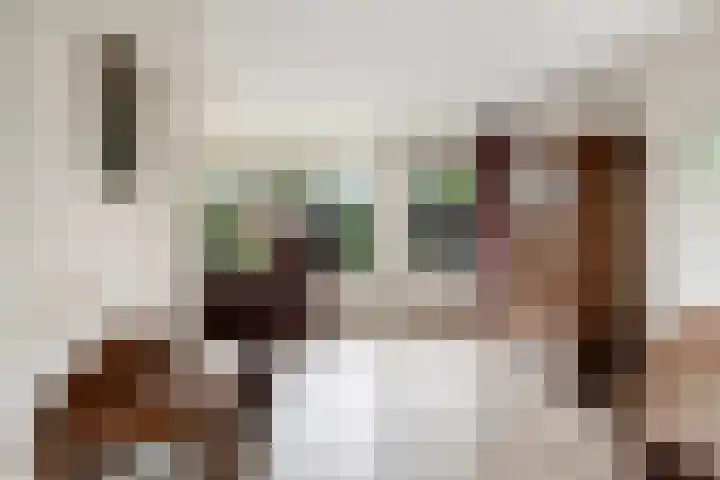 Hazepad 18 Soest thumbnail 8