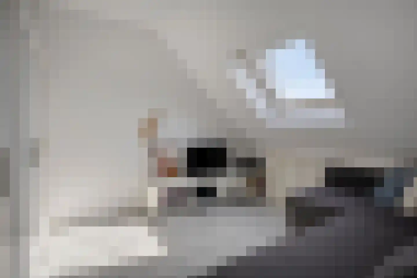 Hazepad 259 Soest thumbnail 18