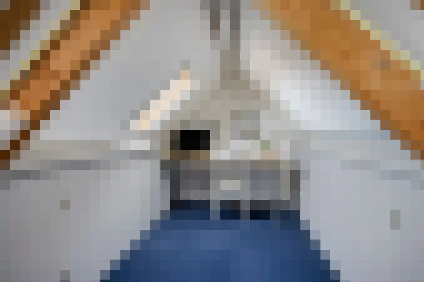 Hazepad 259 Soest thumbnail 22