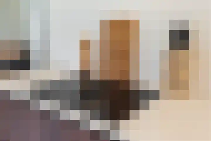 Hazepad 30 Zaandam thumbnail 13