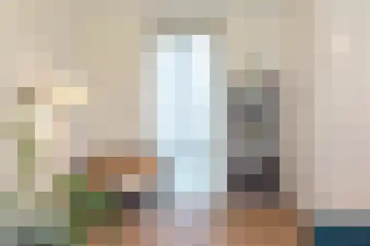 Hazepad 30 Zaandam thumbnail 14