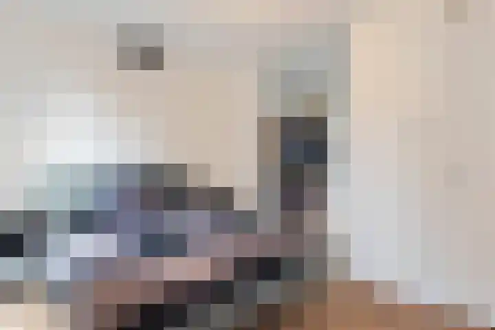 Hazepad 30 Zaandam thumbnail 17