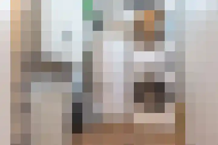 Hazepad 30 Zaandam thumbnail 25