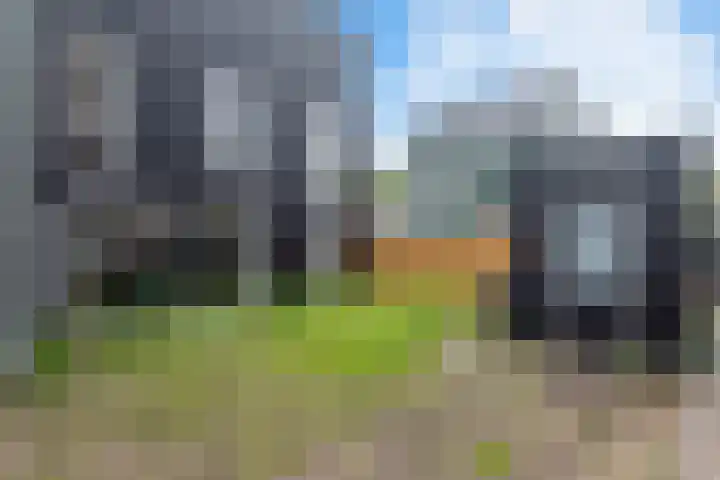 Hazepad 30 Zaandam thumbnail 30