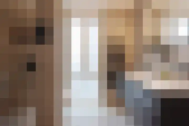 Hazepad 30 Zaandam thumbnail 4