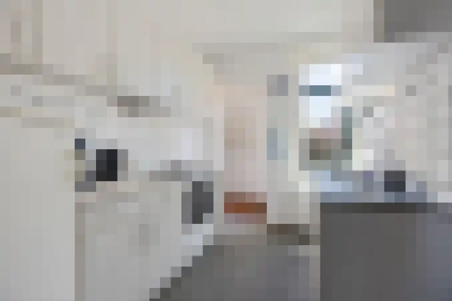Hazepad 4 Nieuw-Amsterdam thumbnail 14