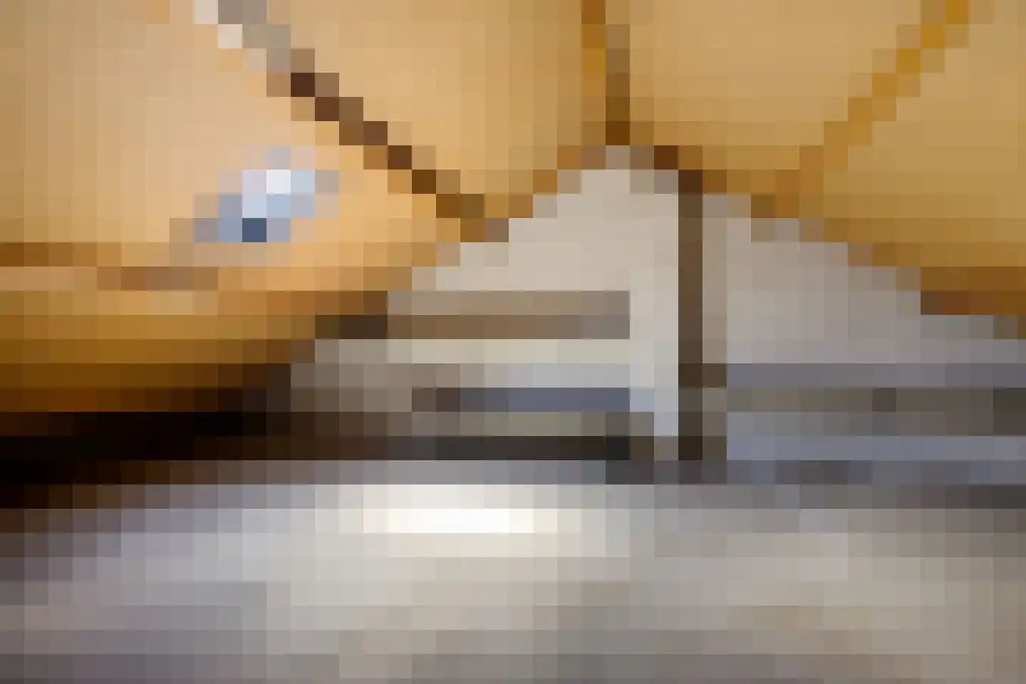 Hazepad 4 Nieuw-Amsterdam thumbnail 34