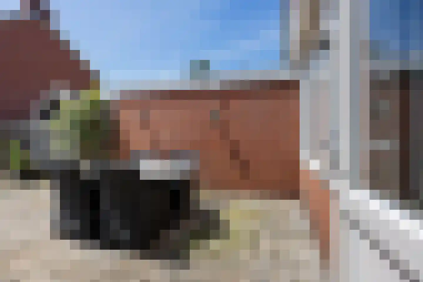 Hazepad 4 Nieuw-Amsterdam thumbnail 37