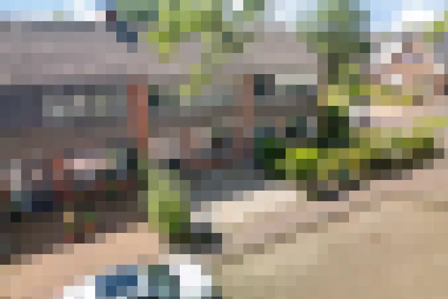 Hazepad 4 Nieuw-Amsterdam thumbnail 41