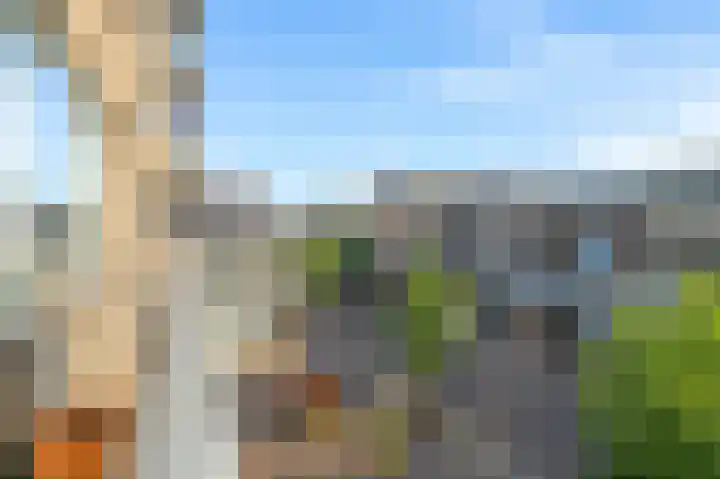 Hazepad 47 Zaandam thumbnail 19