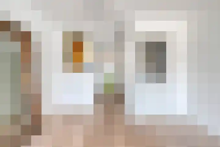 Hazepad 49 Zaandam thumbnail 12