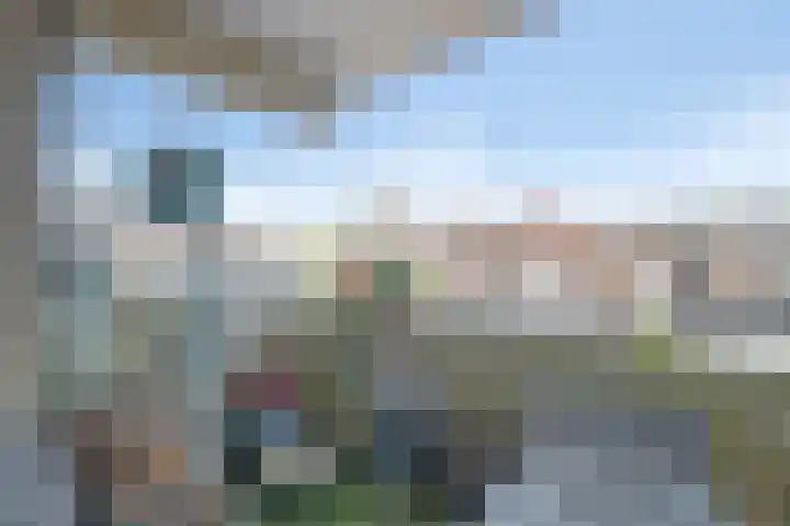 Hazepad 49 Zaandam thumbnail 23
