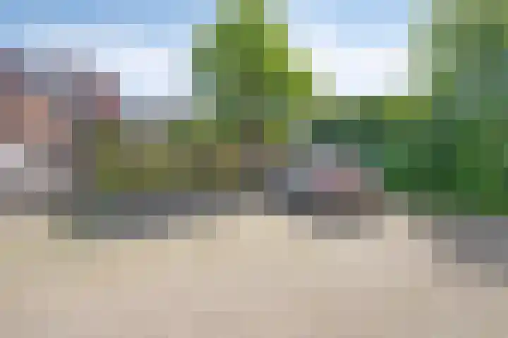 Hazepad 49 Zaandam thumbnail 25