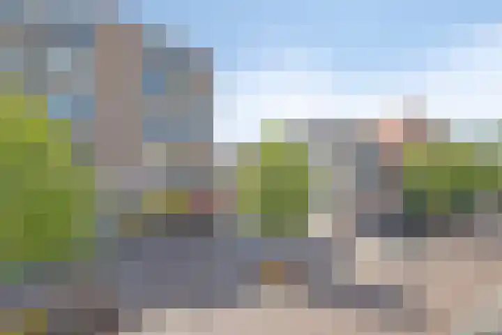 Hazepad 49 Zaandam thumbnail 26