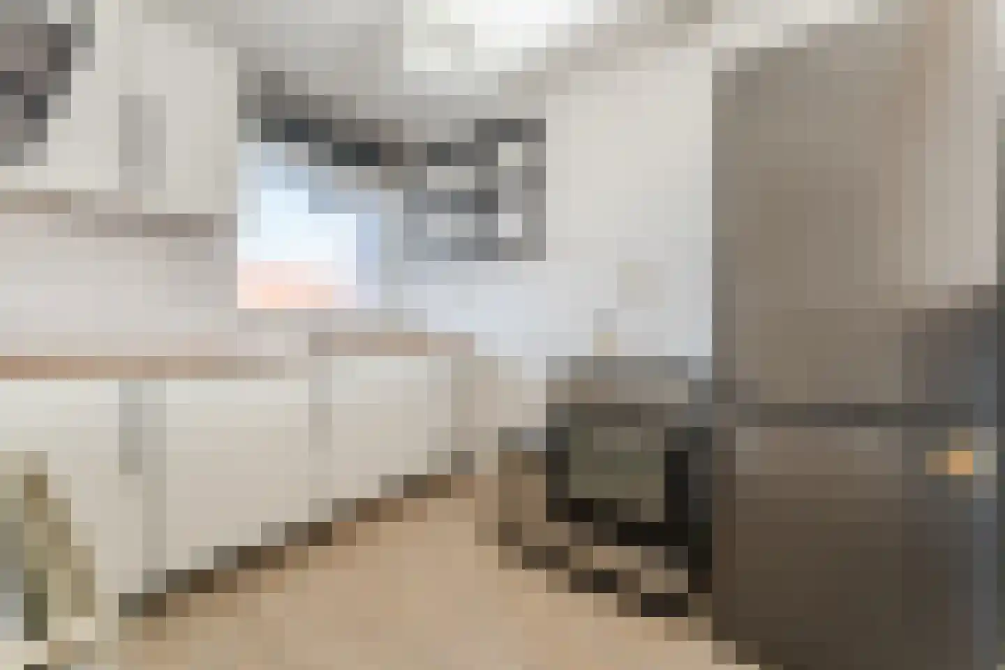 Hazepad 51 Zaandam thumbnail 10
