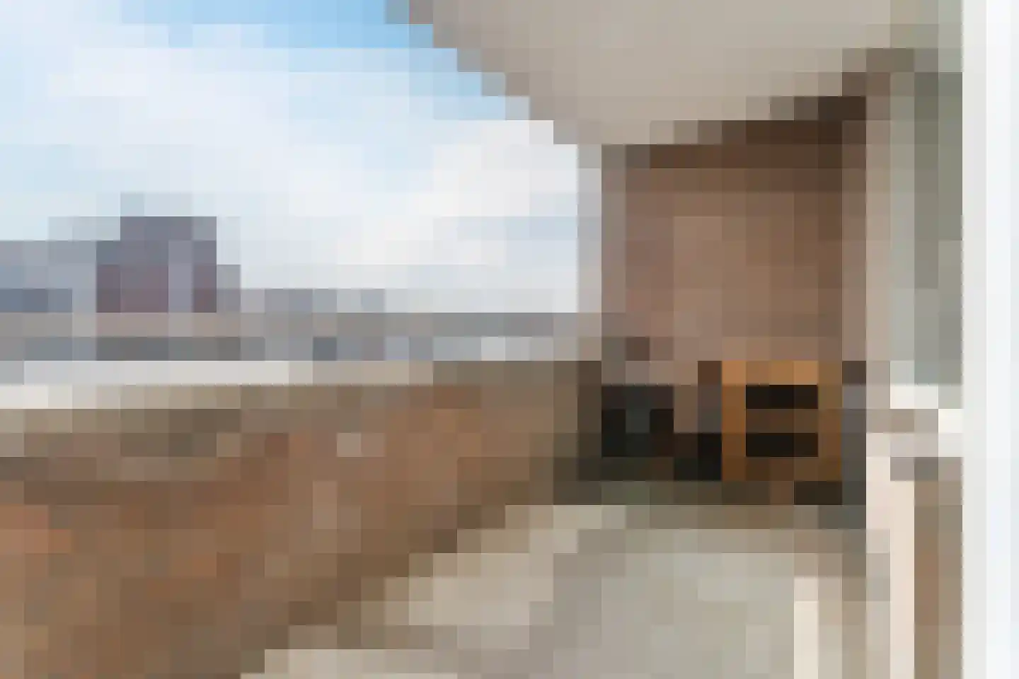 Hazepad 51 Zaandam thumbnail 4