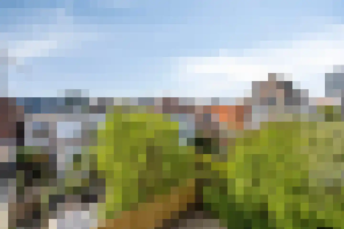 Hazepad 59 Zaandam thumbnail 15