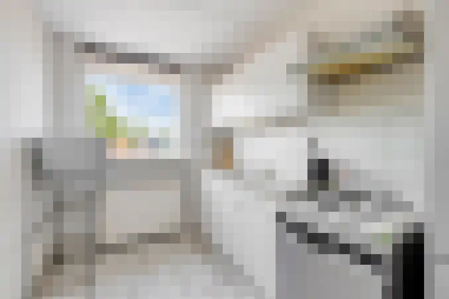 Hazepad 59 Zaandam thumbnail 16