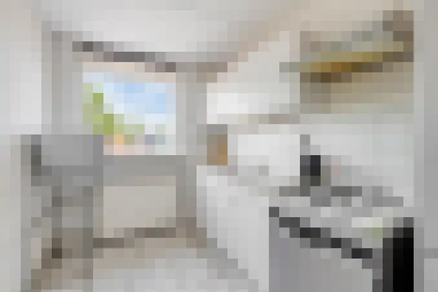 Hazepad 59 Zaandam thumbnail 18